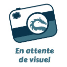 DECKFLOODBORNMERLINTIANA