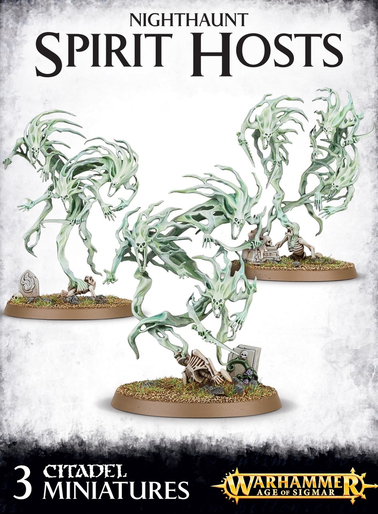 SPIRIT HOST