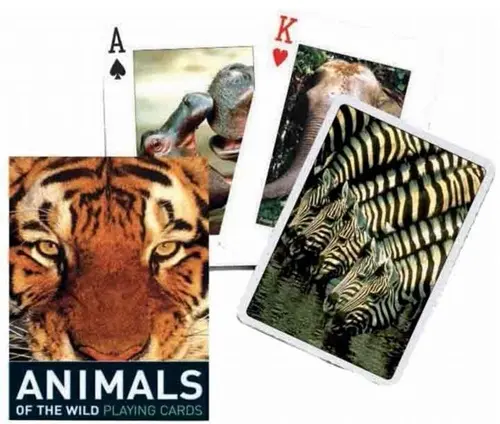 54 Cartes Animals of the wild